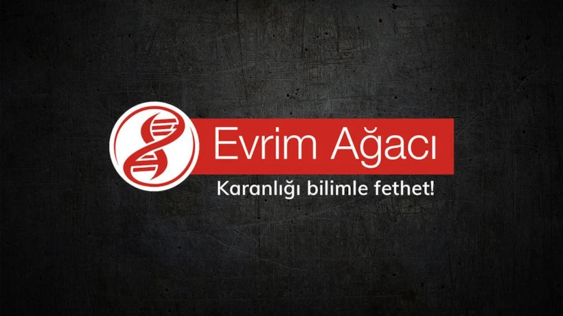 Poscastler, Evrim Ağacı 