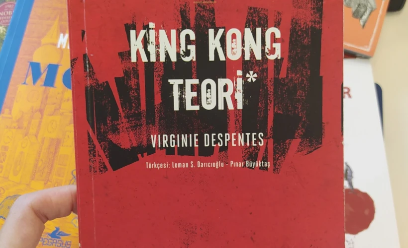 King Kong Teori: Sarsıcı, Gerçek, Utanmaz bir Kitap