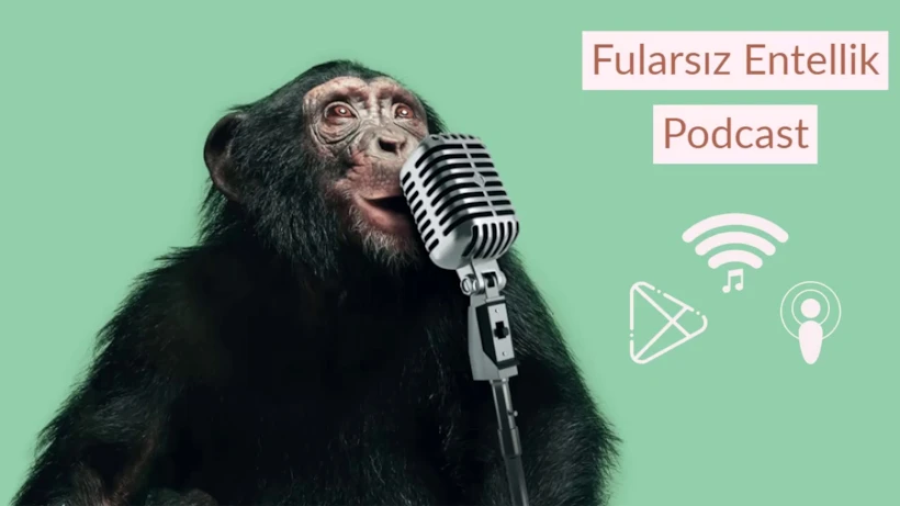 Fularsız Entellik