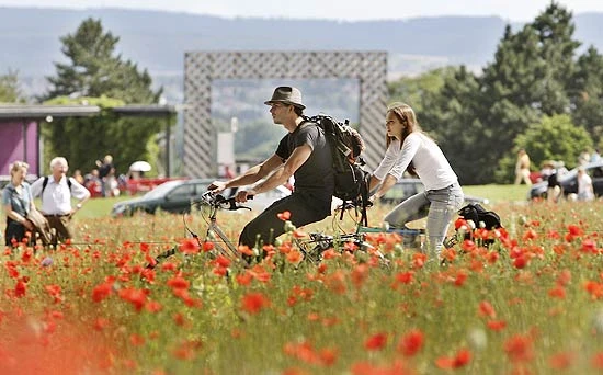 Poppy Fields, 2007