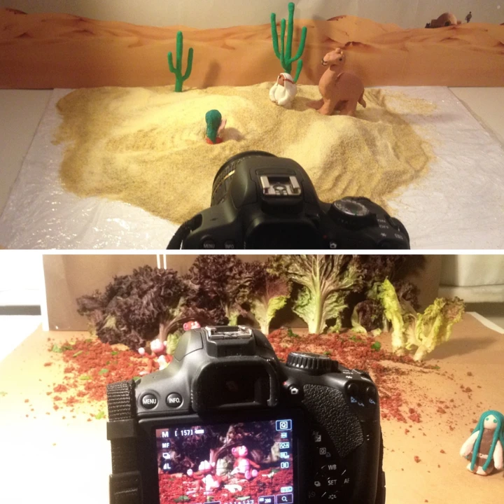 stop motion - yaprak civan