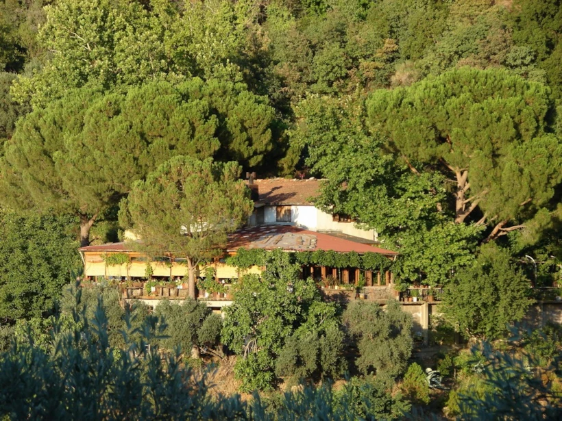 Kaplan Dağ Restoran