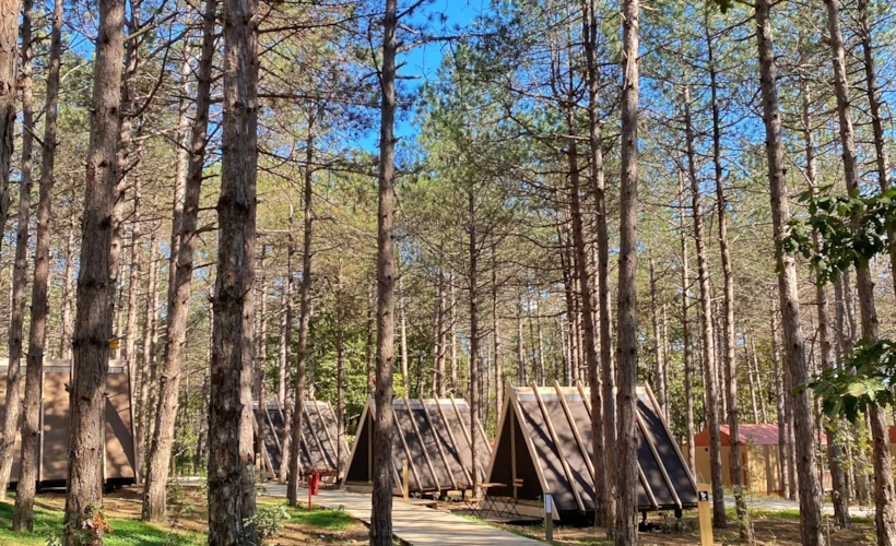 Longosphere: İğneada'da Glamping Deneyimi
