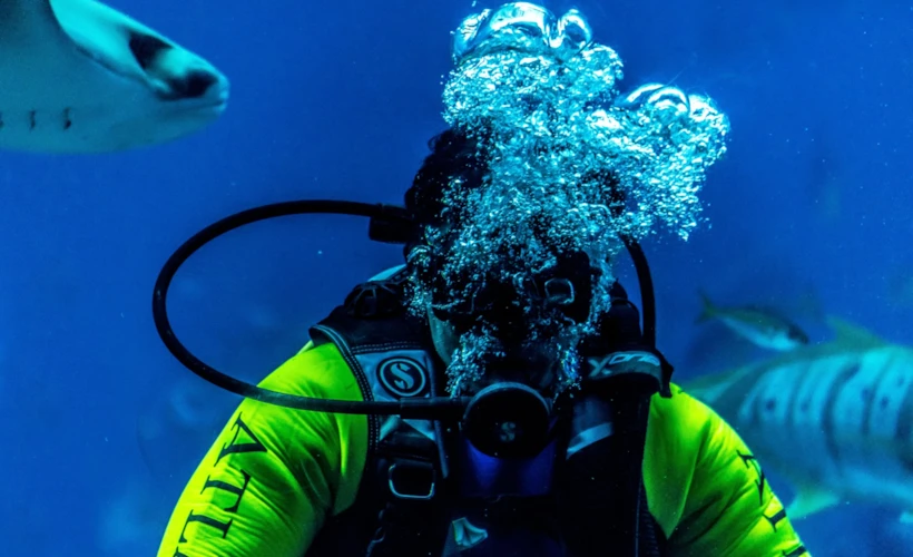 Kaş'ta Scuba Diving (Tüplü Dalış): Nefes, Beden ve Cesaret