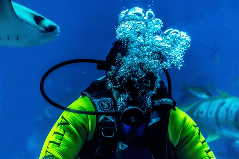 Scuba Diving (Tüplü Dalış)