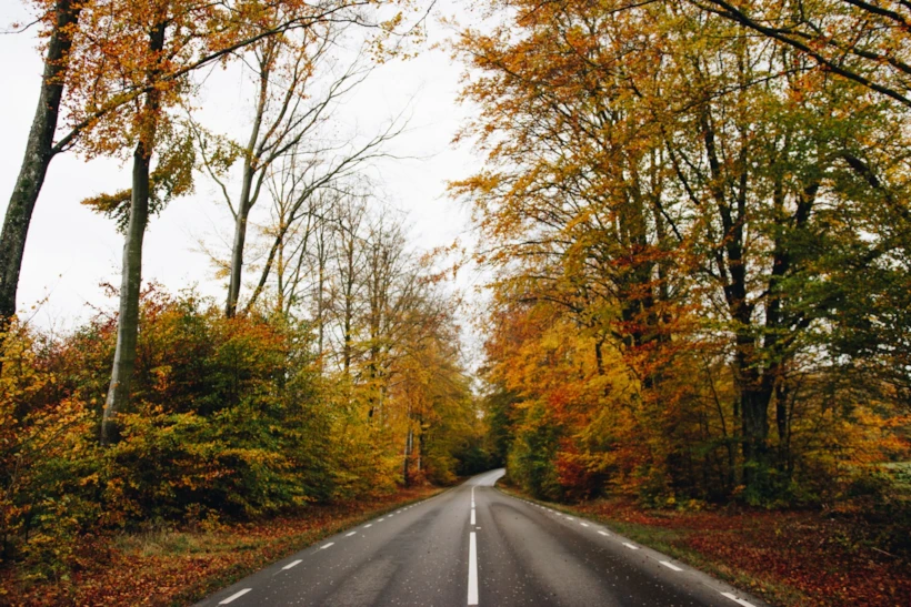 İsveç Yol Manzarası