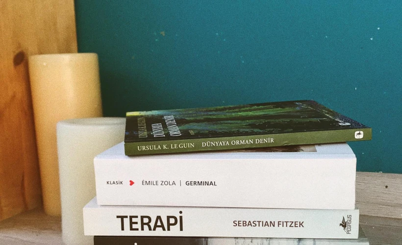2020 Okumaları: Germinal, Şizofren, Terapi ve Dahası