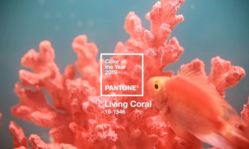 2019 PANTONE Yılın Rengi |