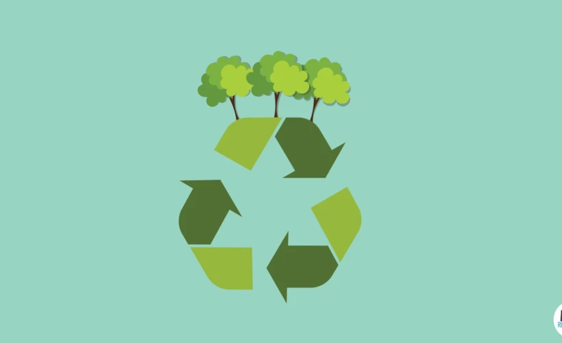 Çevre Dostu Uygulamalar: Ecosia, Oroeco ve Dahası