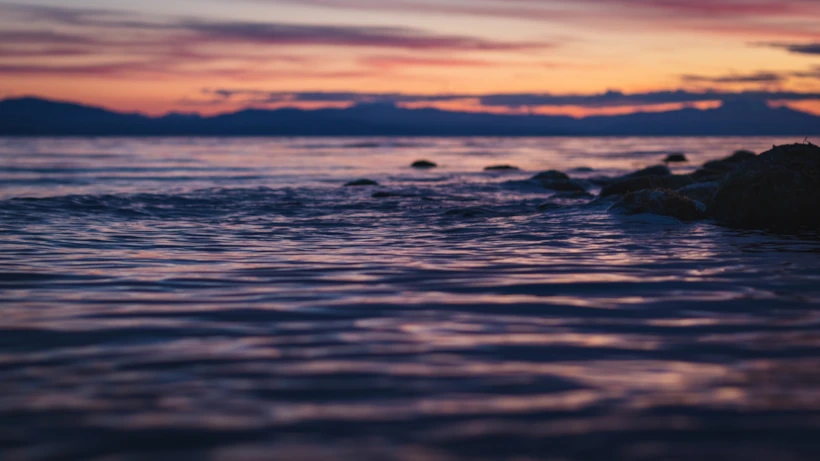Fotoğraf Altyazısı | Greg Rosenke (unsplash.com)