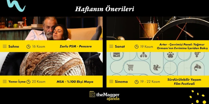 Mail Bültenleri
