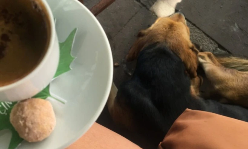 Bozcaada Eski Kahve