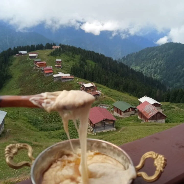 Pokut Yaylası