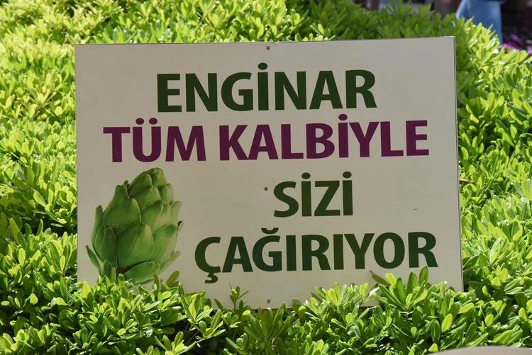 Urla Enginar Festivali 