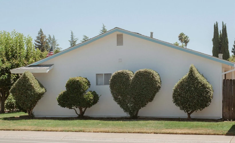 Ordinary Sacramento: Sıradanlığa Odaklanan Fotoğraf Serisi