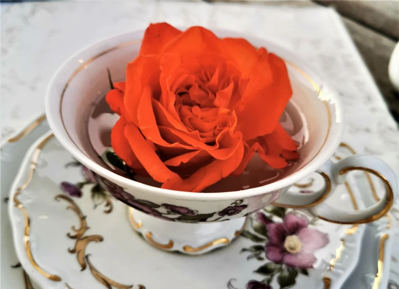 redrose