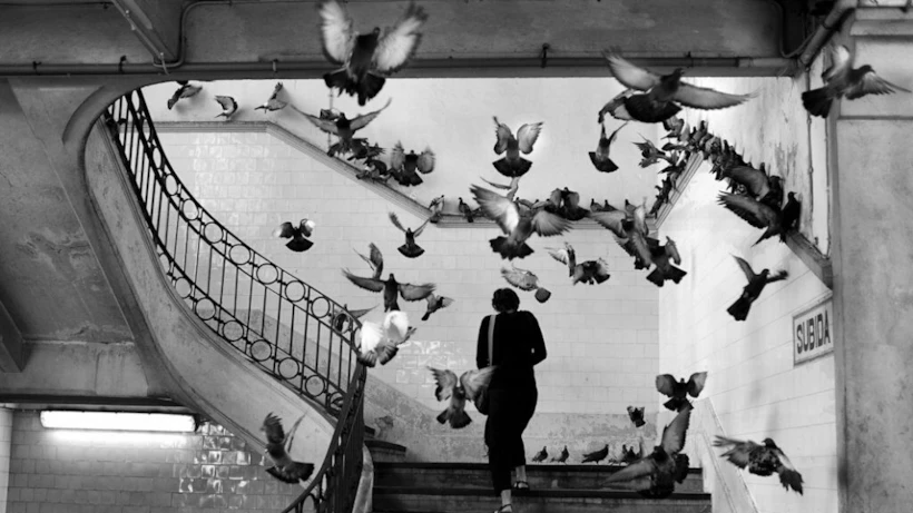 henri-cartier-bresson-e1603277286303