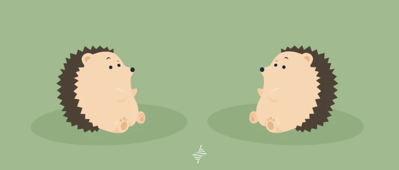 porcospino