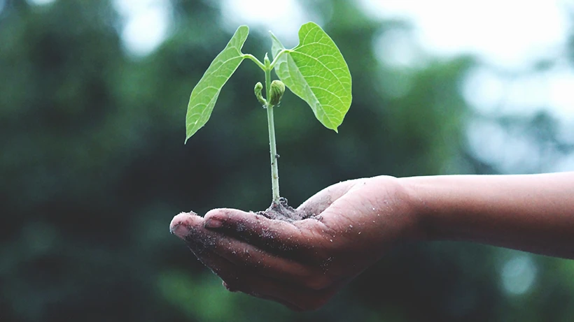 Kaizen Felsefesi: İyileştirme Arayışına Gerçekçi Bir Yaklaşım