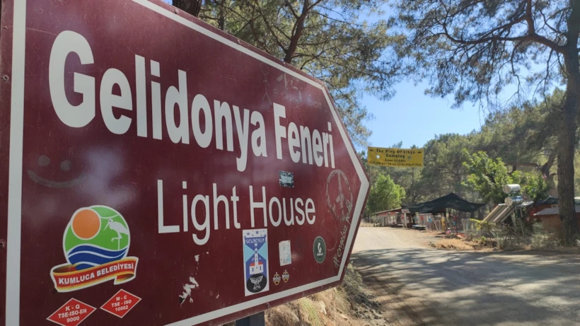 gelidonya1