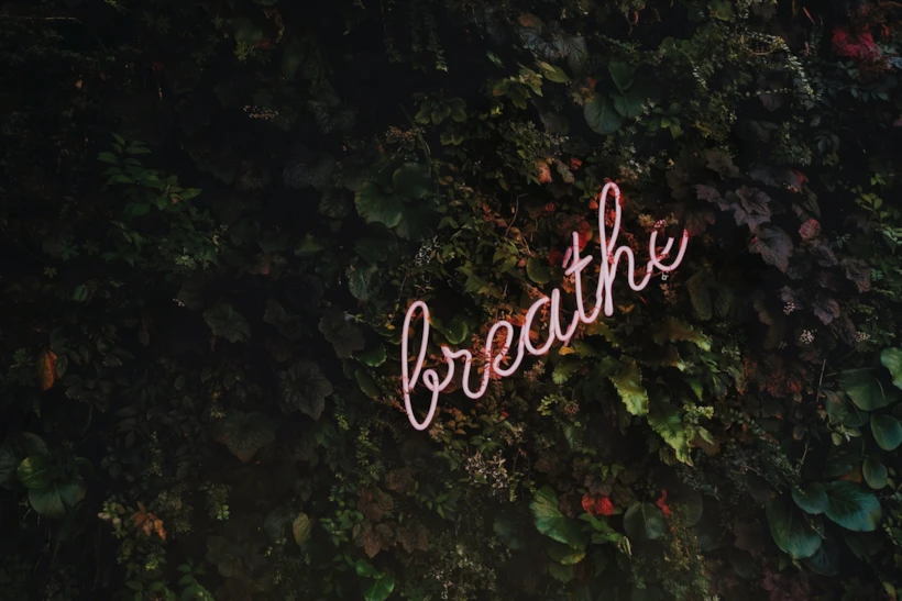 Mindfulness 