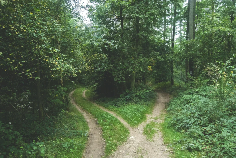 Mindfulness