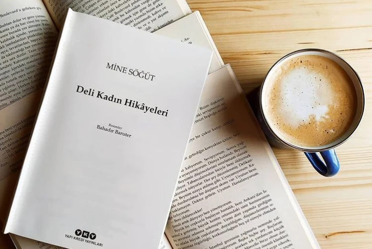 Deli Kadın Hikâyeleri: Mine Söğüt’ten 21 Delilik Öyküsü