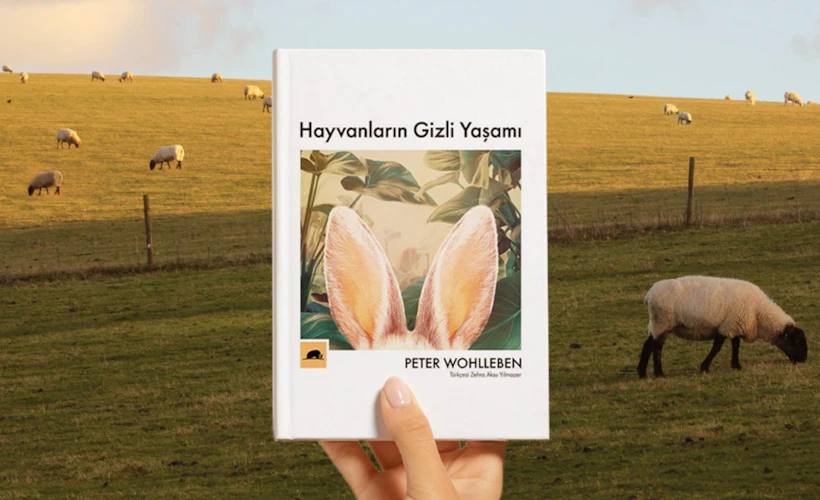 Hayvanların Gizli Yaşamı: Dostlarımızın Dünyasına Dair