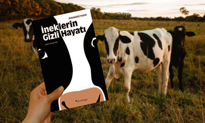 İneklerin Gizli Hayatı