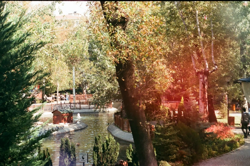 Analog Fotoğrafçılık