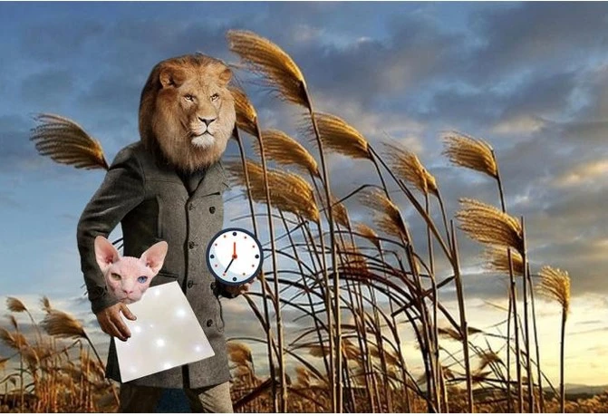 lion-2