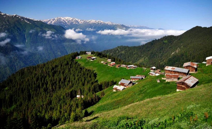 Rize'den İki Durak: Plato'da Mola ve Bageni