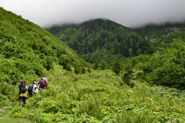 Gorgit Yaylası: Artvin Macahel'de Yeşil Bir Cennet
