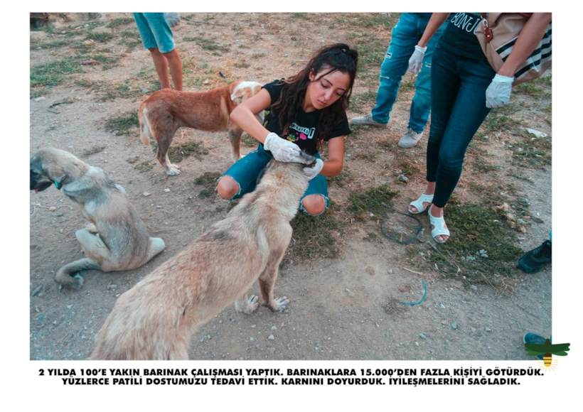 Ateş Böceği Derneği Barınak Ziyaretleri