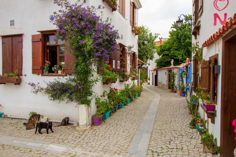 Cittaslow Seferihisar