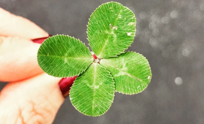 St. Patrick's Day: Şans Sizinle Olsun