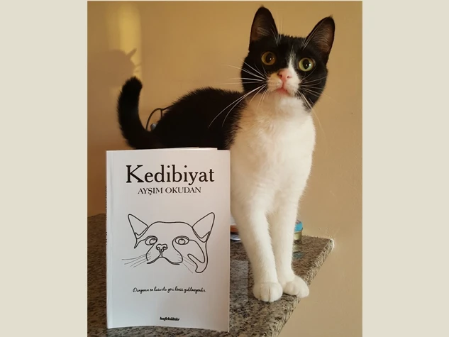 Kedi ve İkizi