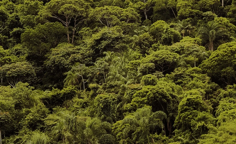 Origins “Green The Planet” ile: Dünya Ayı’nı Kutluyor