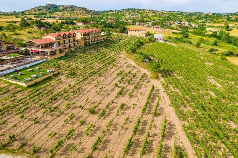 Dessera Bağ Evi