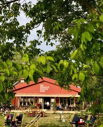 Yalı 77: Beykoz'da Lezzet ve Huzur Dolu Bir Mola Durağı