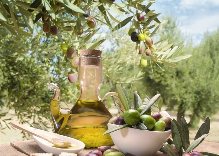 zeytin_zeytinyagi