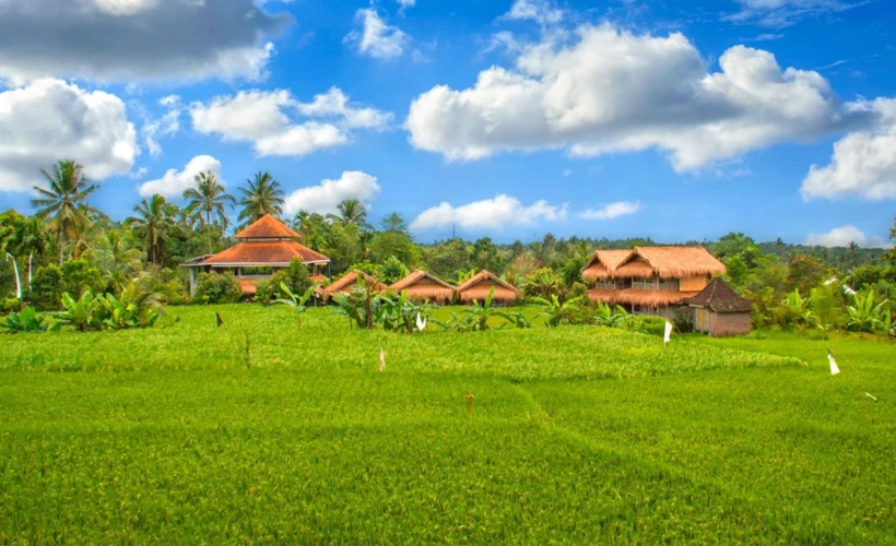 Bali Silent Retreat: Sessizliğin Sesini Duyduğum 5 Gün