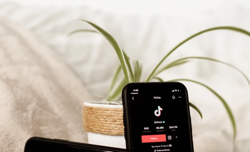 Instagram İsyanı: TikTok Hevesi ve Algoritma Krizi