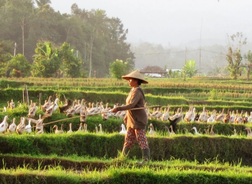 Bali Silent Retreat