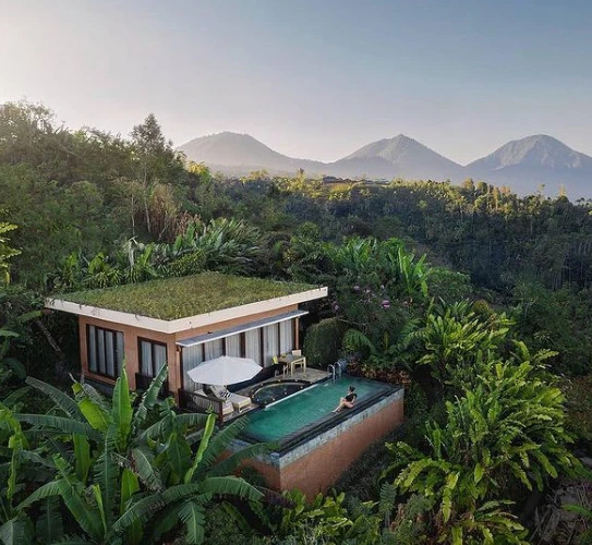Munduk Moding Plantation: Bali’de Sonsuzluğa Uzanan Kapı