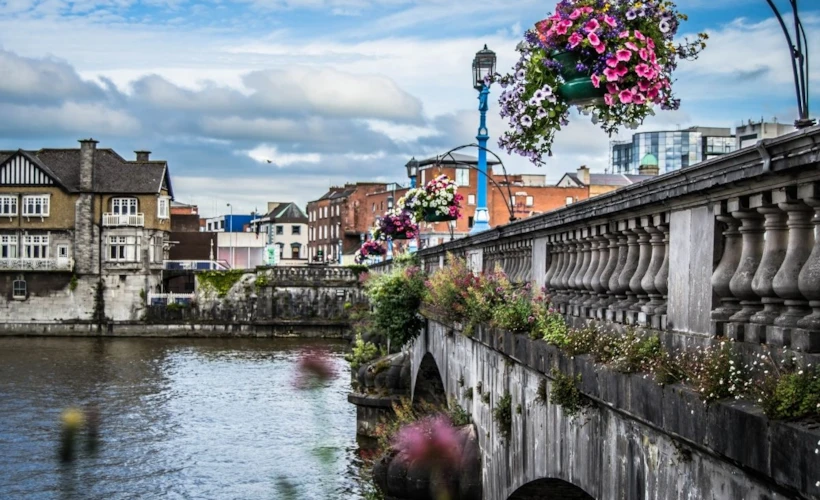 Limerick Rehberi: Vikinglerden The Irish Spirit'e