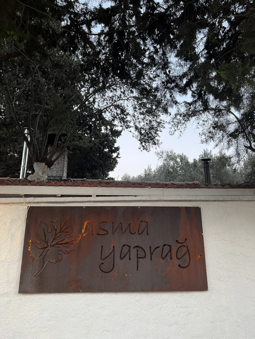 Asma Yaprağı Tarla