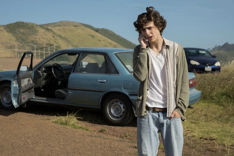 Timothée Chalamet, Beautiful Boy