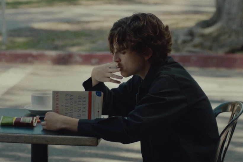 Timothée Chalamet, Lady Bird