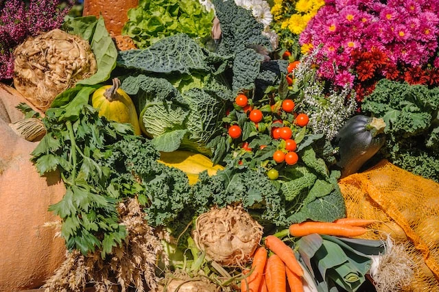 Bahara Giriş: Ayurvedik Tariflerle Hafif Bir Başlangıç